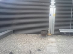 20170711_172708.jpg