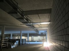 IMG_1910.JPG