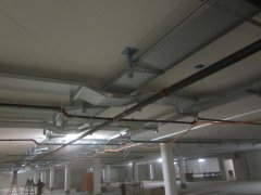 IMG_1923.JPG