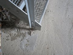 img_2586.jpg