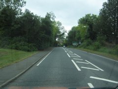 IMG_2763.JPG