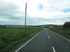 IMG_2774.JPG