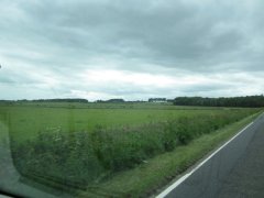 IMG_2775.JPG