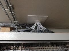 IMG_20190131_174815.jpg