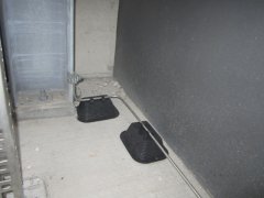 IMG_3224.JPG