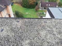 IMG_20181121_145641.jpg