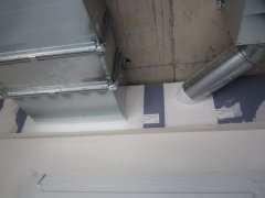 IMG_3407.JPG