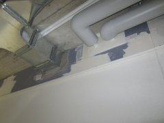 IMG_3421.JPG