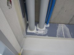 IMG_3429.JPG