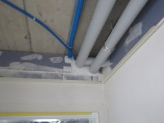 IMG_3431.JPG