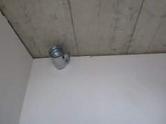 IMG_3433.JPG