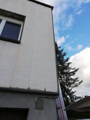 IMG_20181211_145331.jpg